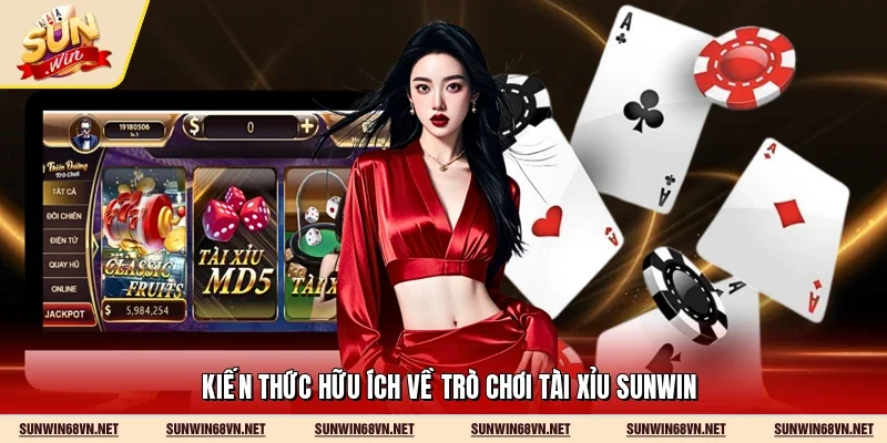 Kiến thức hữu ích về trò chơi tài xỉu Sunwin