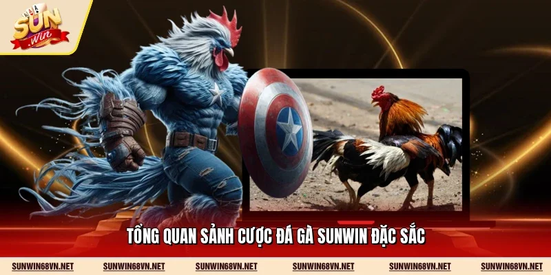 Tổng quan sảnh cược đá gà Sunwin đặc sắc